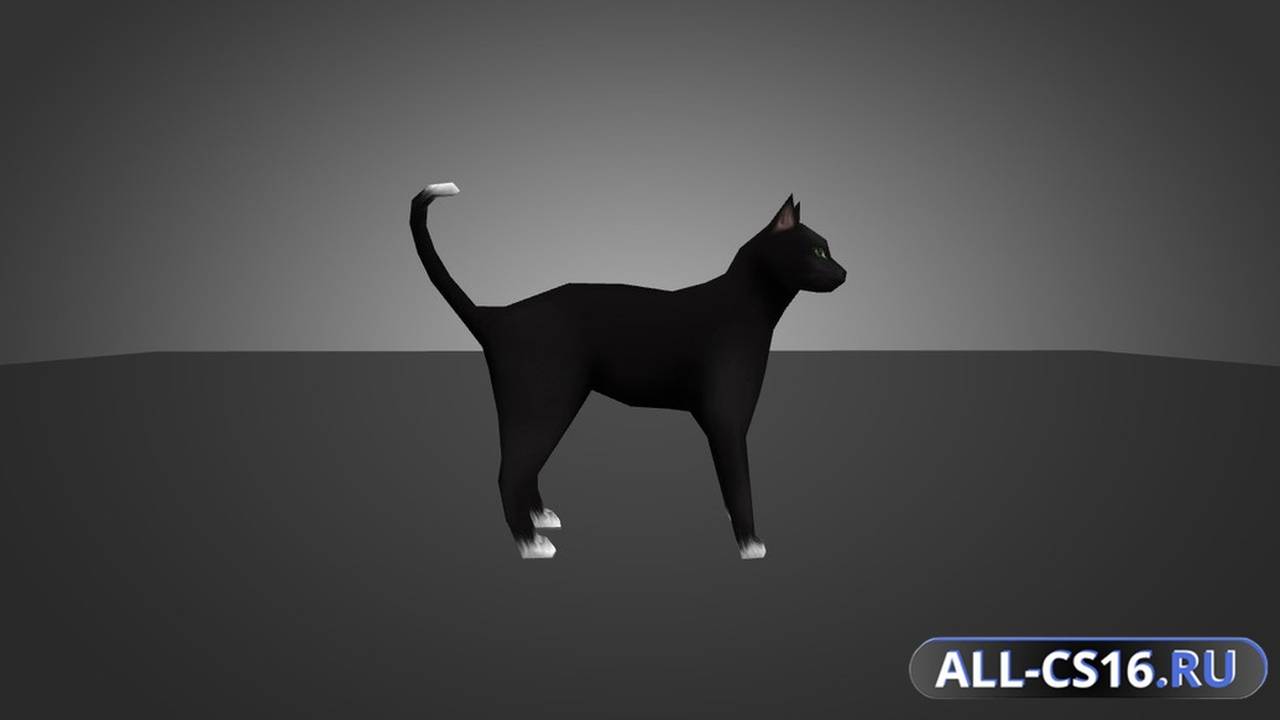 Модель для CS 1.6 - Black Cat for Chicken