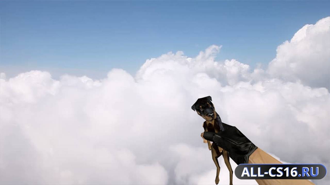 Модель оружия для CS 1.6 - Dog Grenade
