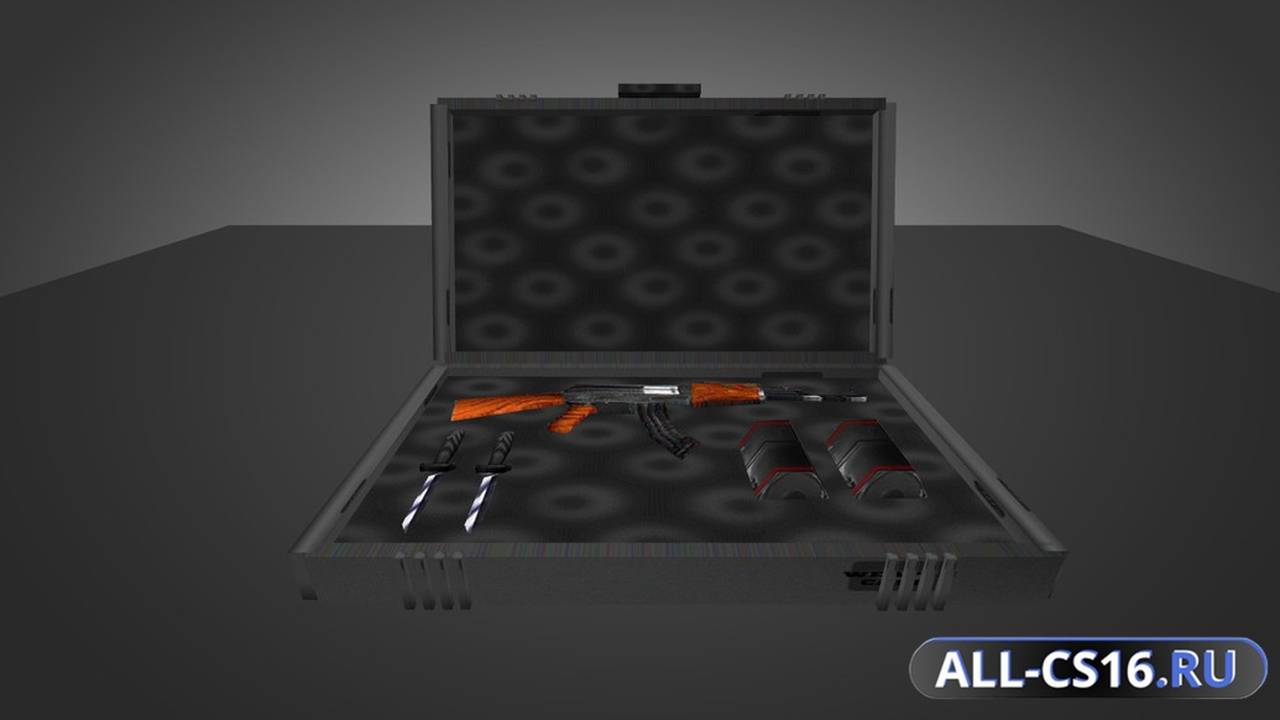 Модель для CS 1.6 - Weapon Case