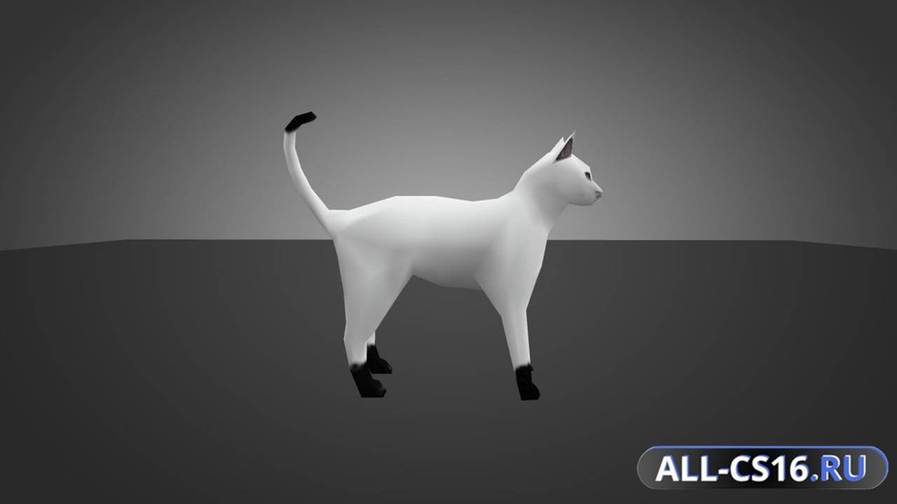 Модель для CS 1.6 - White Cat for Chicken